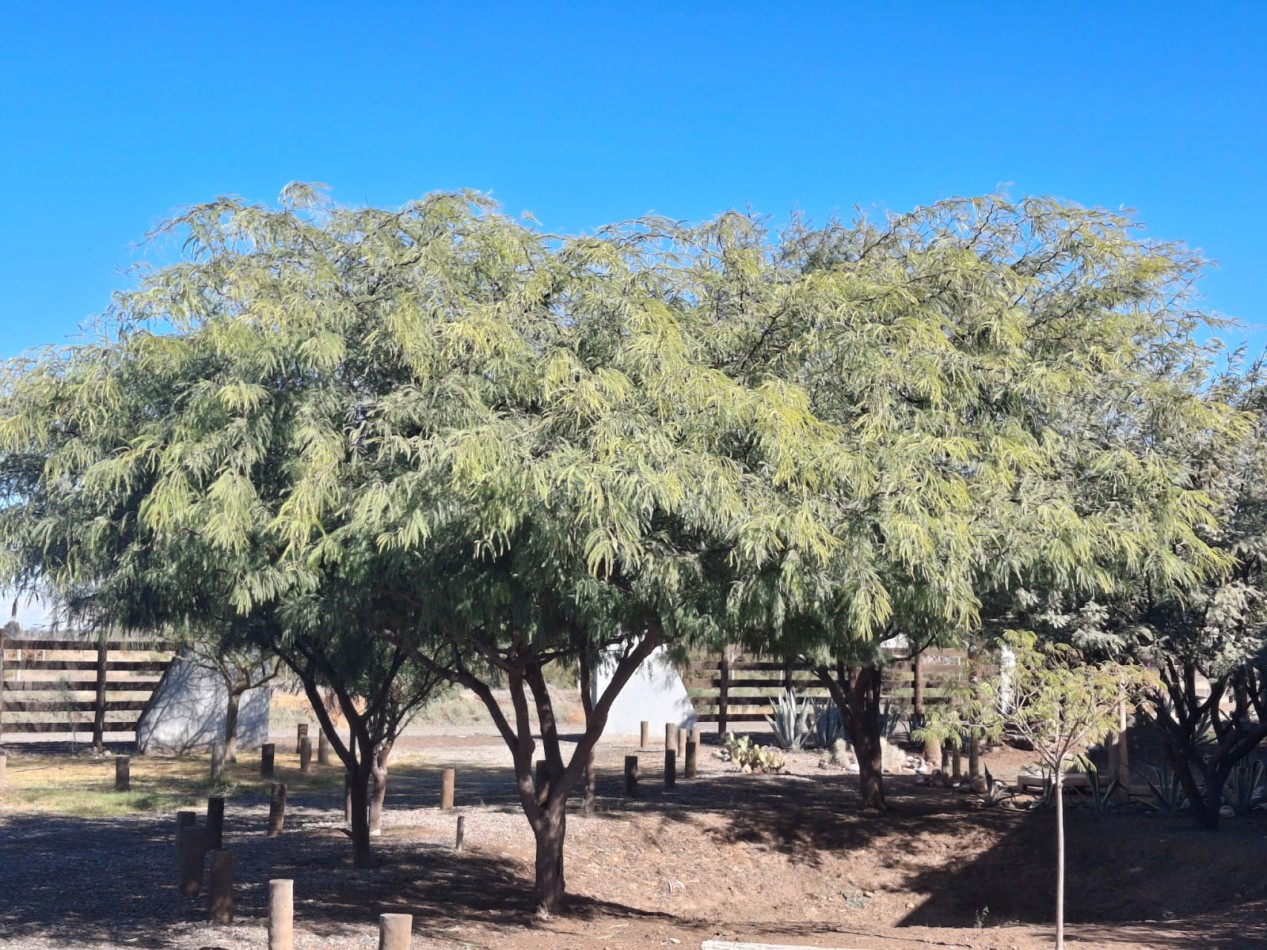 Exclusivo terreno en Venta con laguna, quincho  y parque.