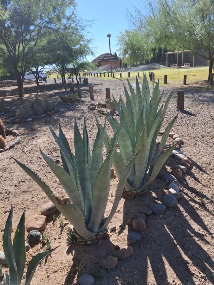 Exclusivo terreno en Venta con laguna, quincho  y parque.