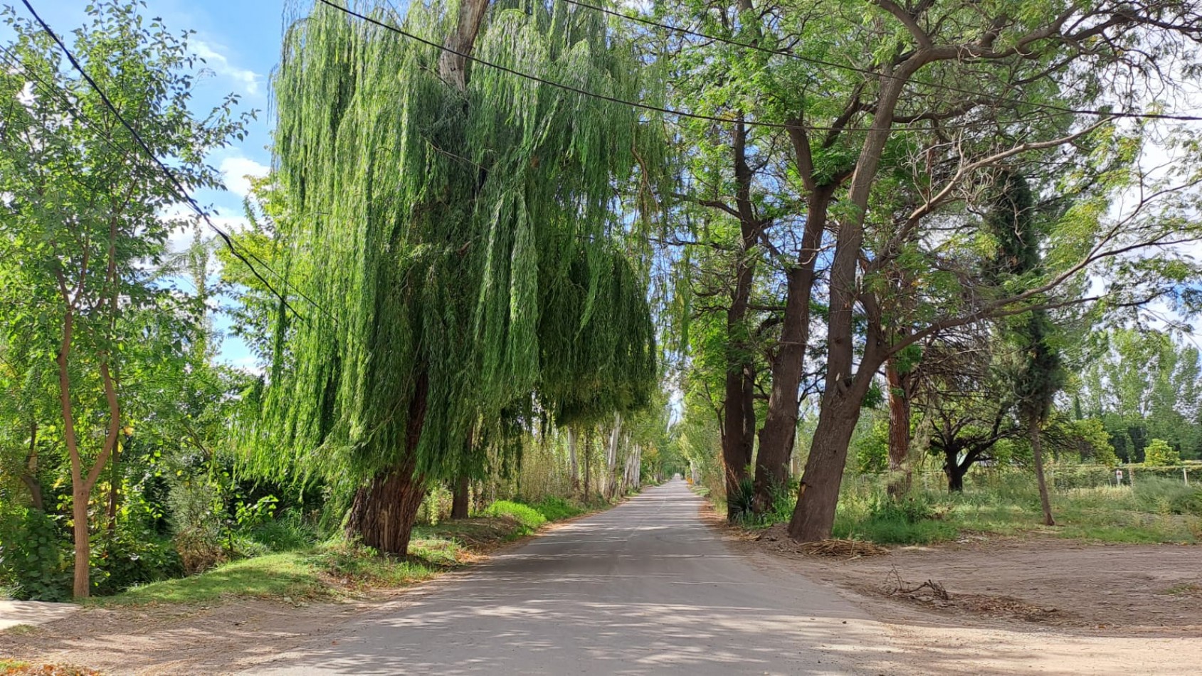 Lote en Venta en barrio cerrado Los Teros en Lujan de Cuyo.