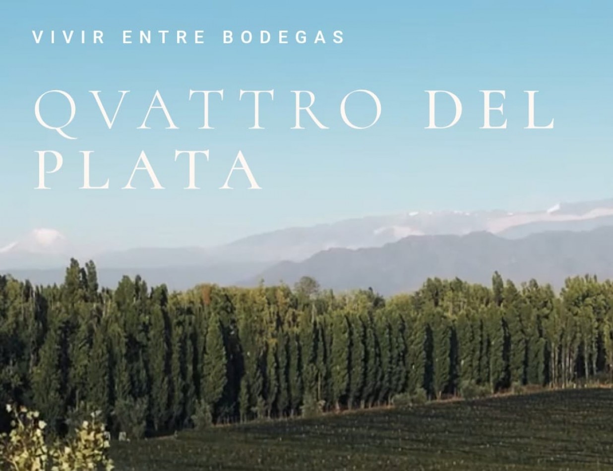Lote en Venta en El Barrio Qvattro del Plata en Vistalba Lujan de Cuyo