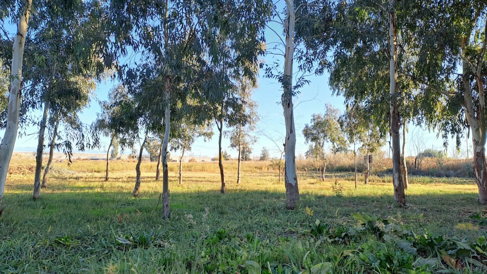 casa con 3 dormitorio y gran terreno en venta en San Roque Maipu Mendoza