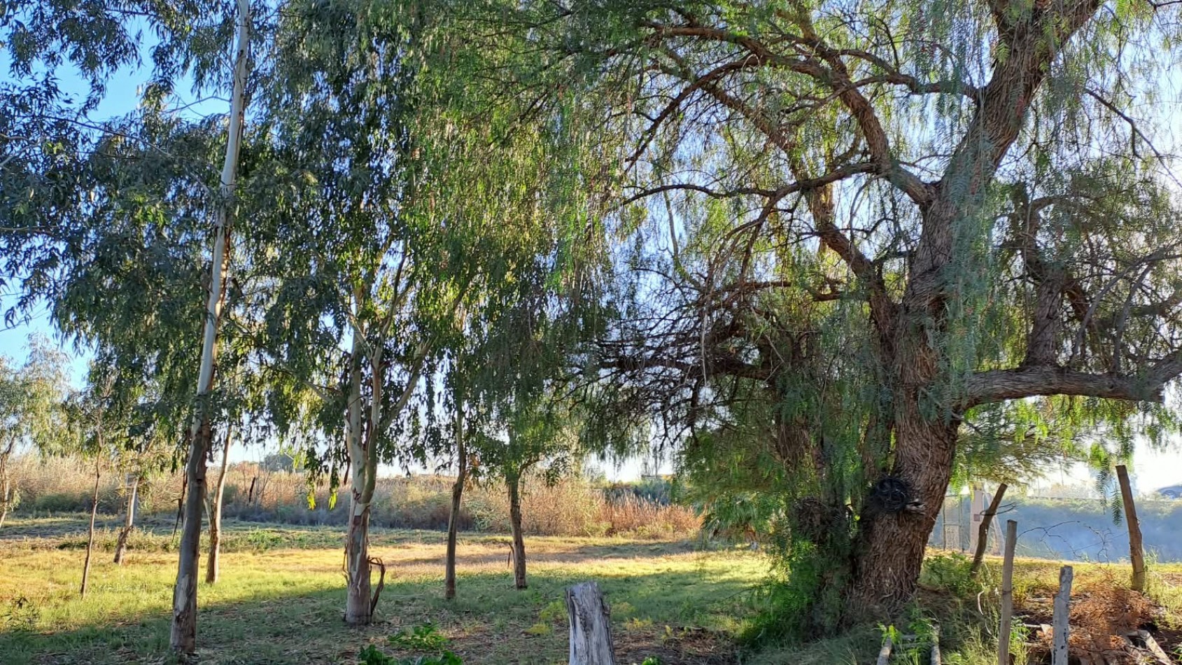 casa con 3 dormitorio y gran terreno en venta en San Roque Maipu Mendoza