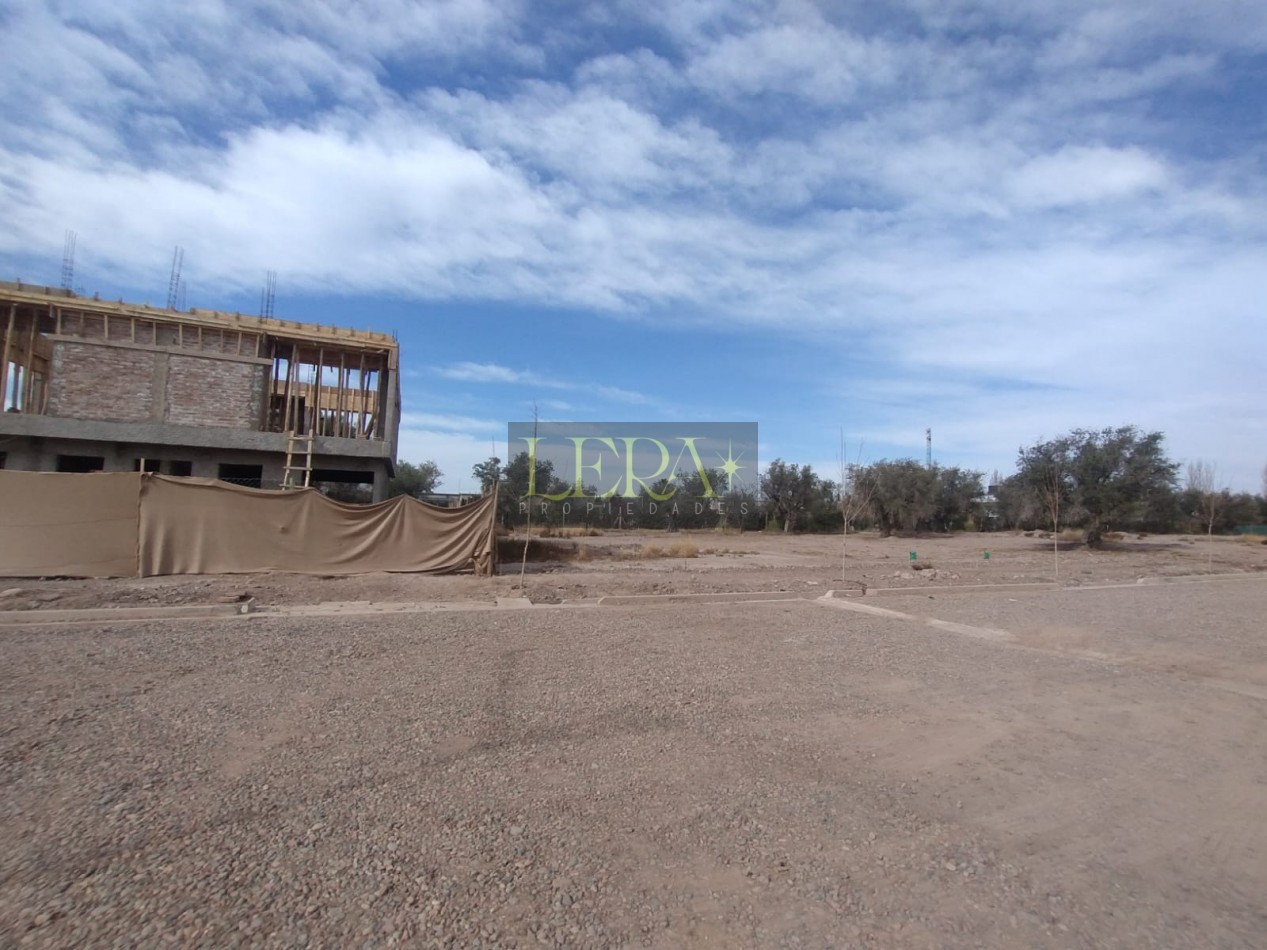 LOTE EN VENTA EN BARRIO PRIVADO ABEDUL EN LUJAN DE CUYO