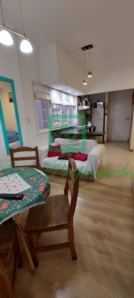 DEPARTAMENTO 1 AMBIENTE ZONA GUEMES